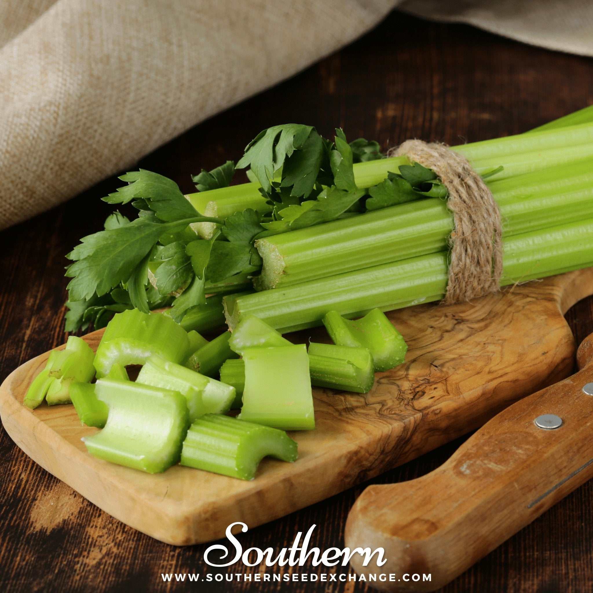 Southern Seed Exchange Celery, Utah 52-70 (Apium Graveolens) - 300 Seeds