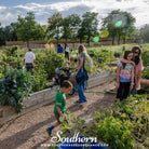 Community Garden - Survival Seed Vault - 120 Seed Varieties - Southern Seed Exchange