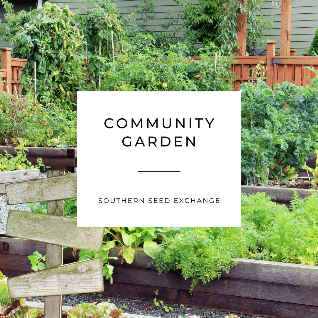 Community Garden - Survival Seed Vault - 120 Seed Varieties - Southern Seed Exchange