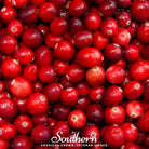 Cranberry, American (Vaccinium macrocarpon) - 50 Seeds - Southern Seed Exchange