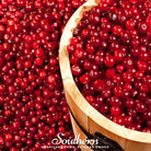 Cranberry, American (Vaccinium macrocarpon) - 50 Seeds - Southern Seed Exchange