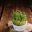 Cress, Pepper (Lepidium sativum) - 500 Seeds - Southern Seed Exchange