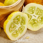 Southern Seed Exchange Cucumber, Lemon (Cucumis sativus) - 30 Seeds