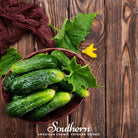 Cucumber, Pioneer (Cucumis sativus) - 30 Seeds - Southern Seed Exchange