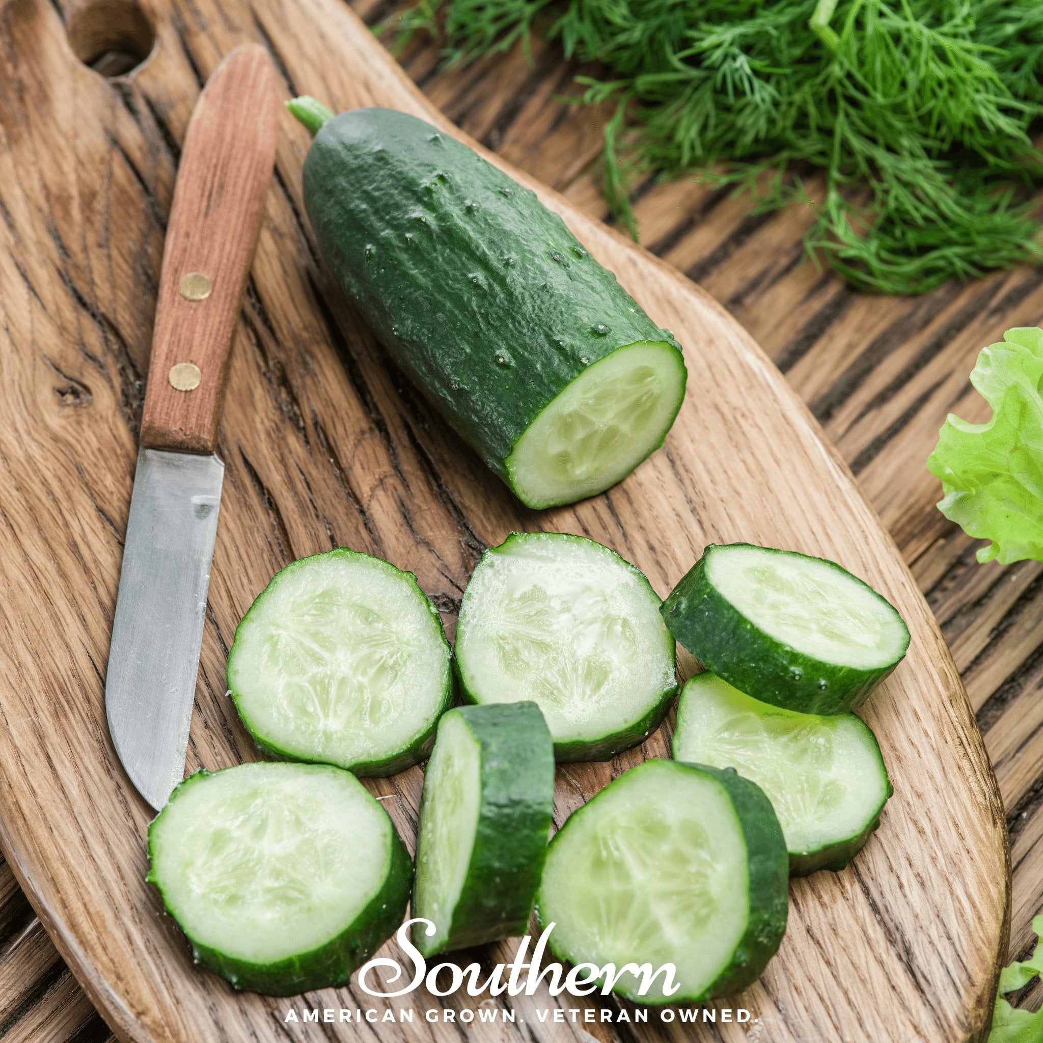 Cucumber, Spacemaster (Cucumis sativus) - 30 Seeds - Southern Seed Exchange