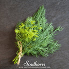 Southern Seed Exchange Dill, Bouquet (Anethum graveolens) - 100 Seeds