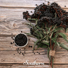 Dried Elderberry - 2 cups (Sambucus nigra) - Southern Seed Exchange