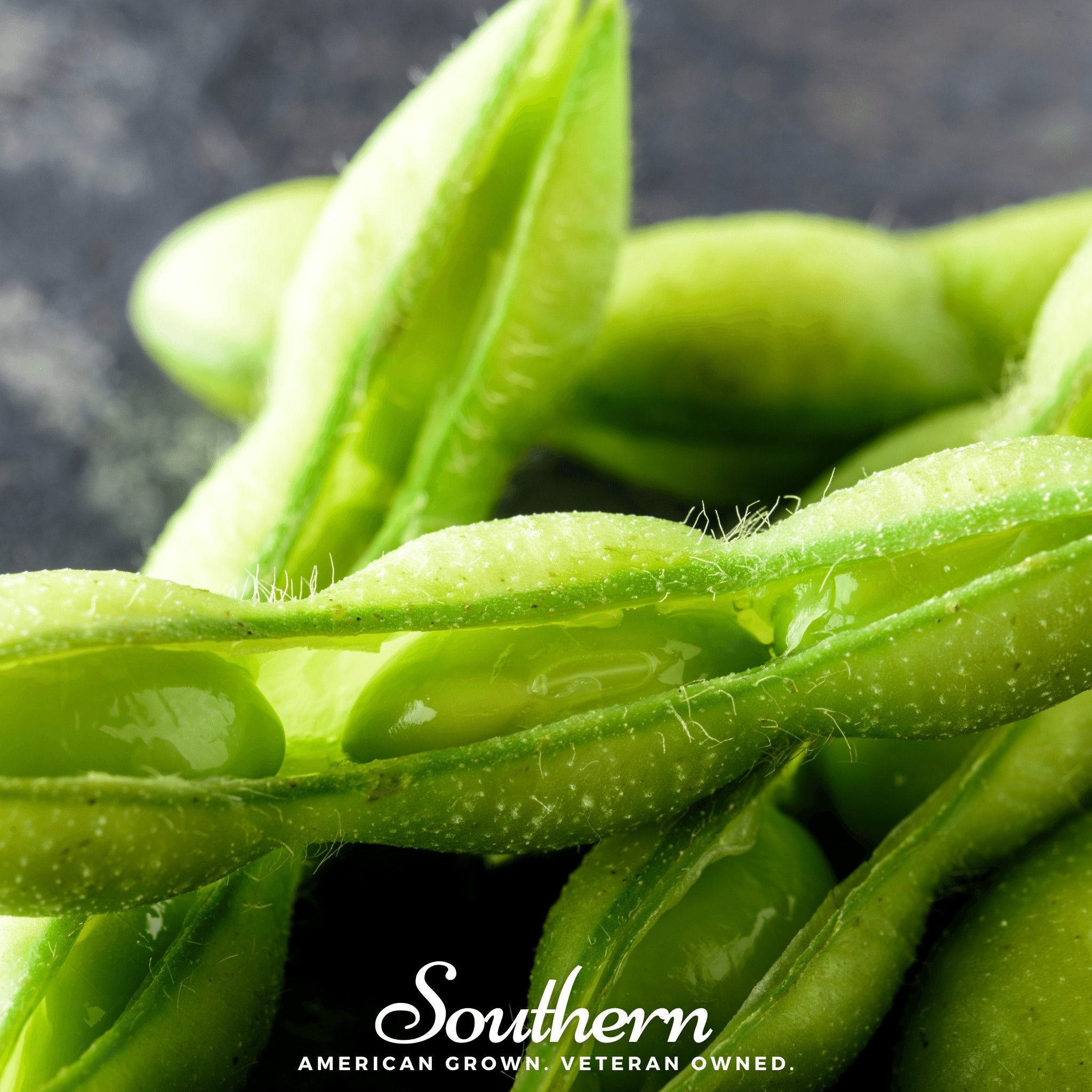 Edamame, Be Sweet Soybean (Phaseolus vulgaris) - 20 Seeds - Southern Seed Exchange