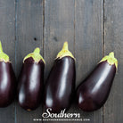 Southern Seed Exchange Eggplant, Black Beauty (Solanum melongena) - 200 Seeds