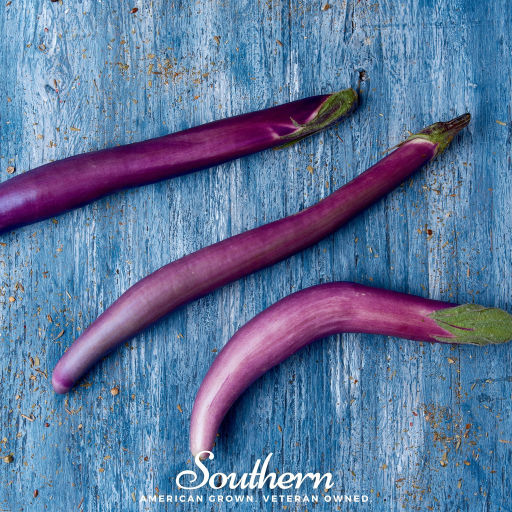 Eggplant, Long Purple (Solanum melongena) - 100 Seeds - Southern Seed Exchange