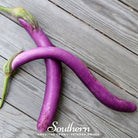 Eggplant, Long Purple (Solanum melongena) - 100 Seeds - Southern Seed Exchange