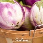 Eggplant, Rosa Bianca (Solanum melongena) - 100 Seeds - Southern Seed Exchange