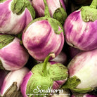 Eggplant, Rosa Bianca (Solanum melongena) - 100 Seeds - Southern Seed Exchange