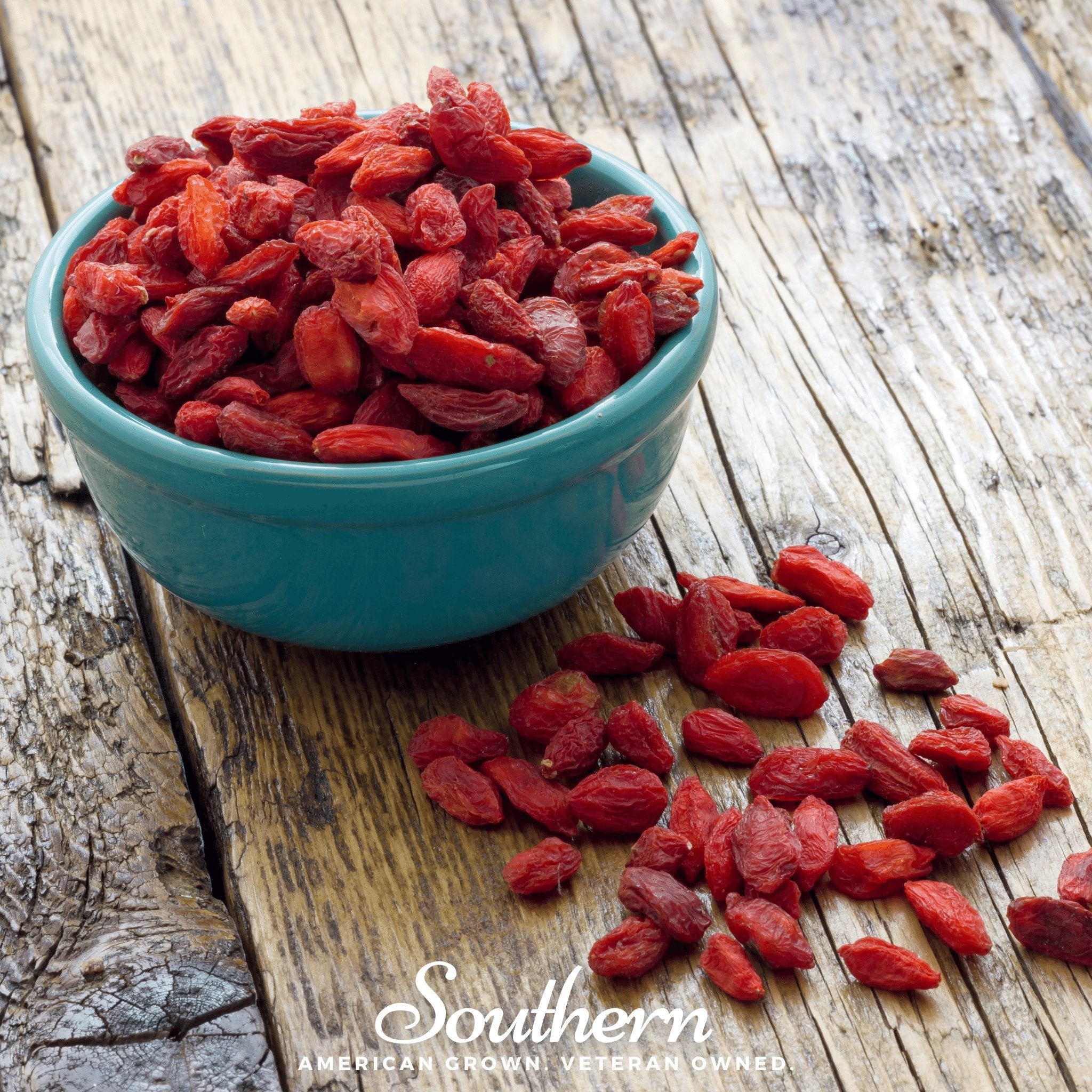 Goji Berry -Wolfberry (Lycium barbarum) - 50 Seeds - Southern Seed Exchange