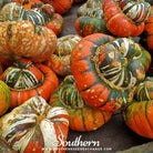 Gourd, Turks Turban (Cucurbita maixima) - 10 Seeds - Southern Seed Exchange