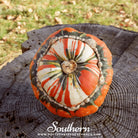 Gourd, Turks Turban (Cucurbita maixima) - 10 Seeds - Southern Seed Exchange