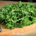 Kale, Dwarf Siberian (Brassica napus) - 250 Seeds - Southern Seed Exchange