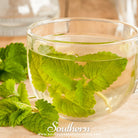 Lemon Balm (Melissa officinalis) - 100 Seeds - Southern Seed Exchange