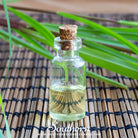 Lemon Grass (Cymbopogon Flexuosus) - 100 Seeds - Southern Seed Exchange