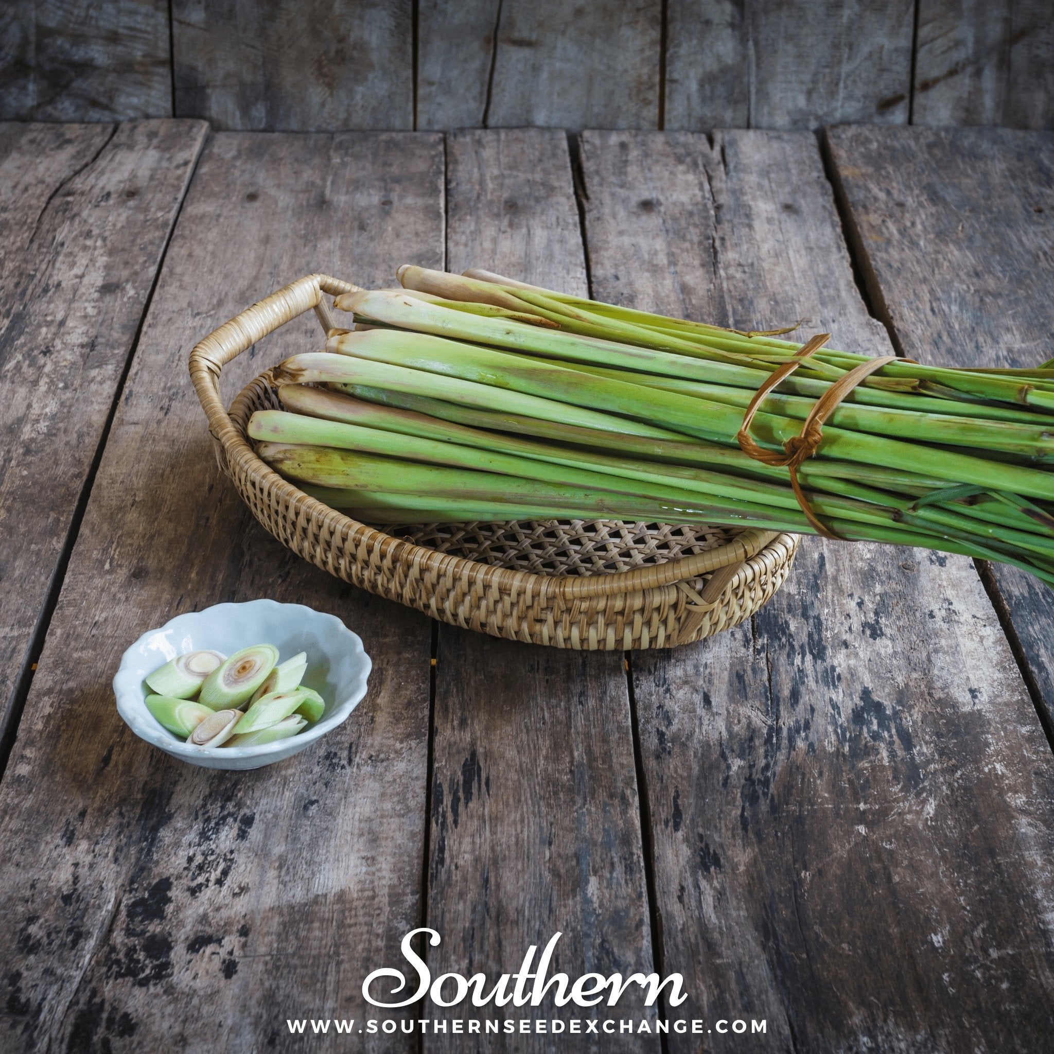 Lemon Grass (Cymbopogon Flexuosus) - 100 Seeds - Southern Seed Exchange