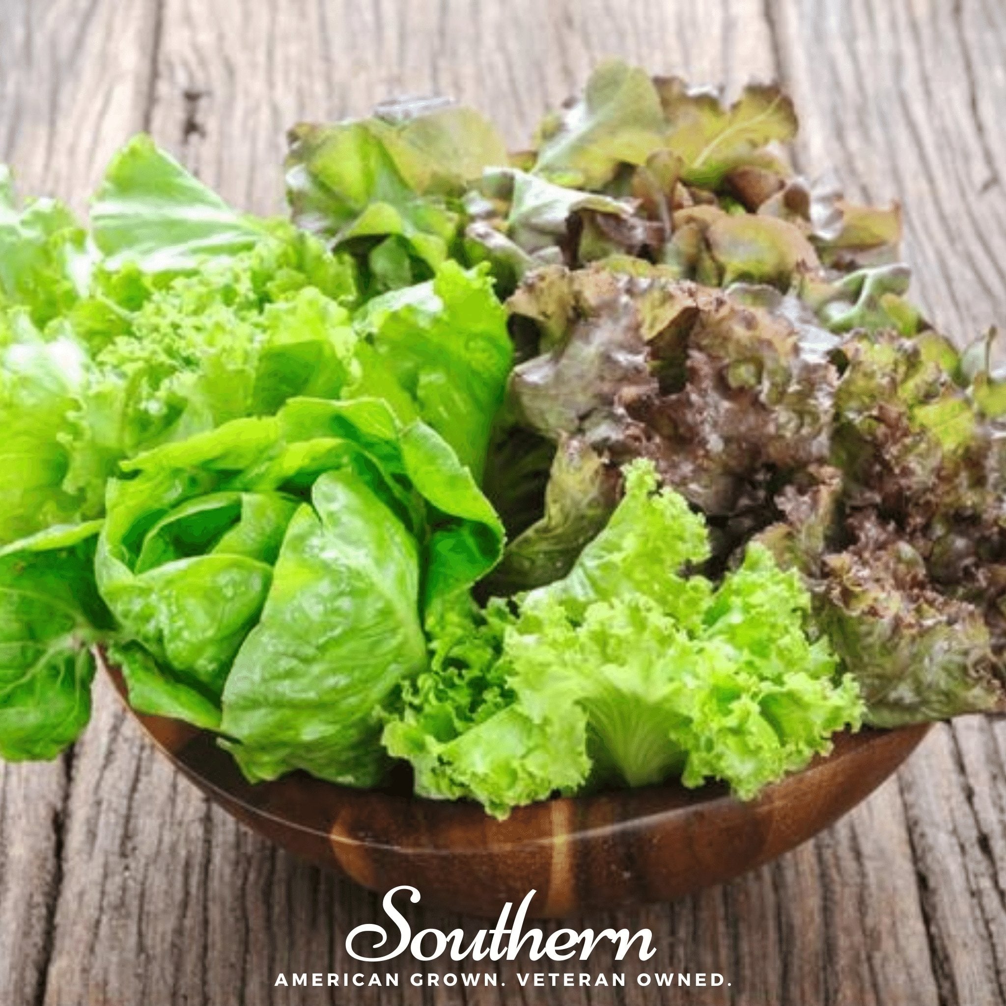 Lettuce, Bibb, Summer (Lactuca sativa) - 500 Seeds - Southern Seed Exchange