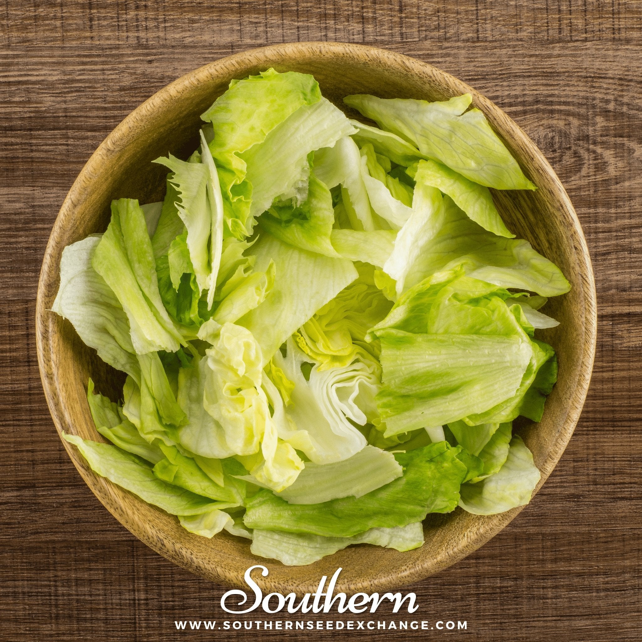 Lettuce, Iceberg (Lactuca sativa) - 500 Seeds - Southern Seed Exchange