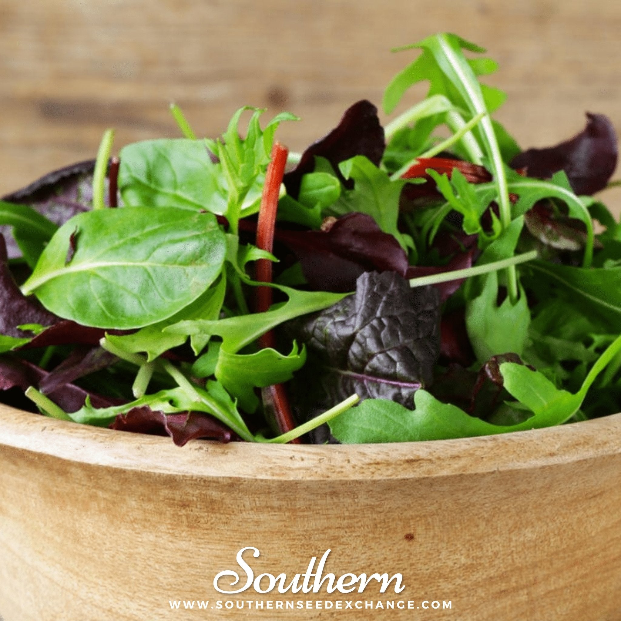 Lettuce, Mixed Greens Gourmet (Lactuca sativa) - 500 Seeds - Southern Seed Exchange