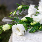 Lisianthus, Sapphire White (Eustoma grandiflorum) - 25 seeds - Southern Seed Exchange