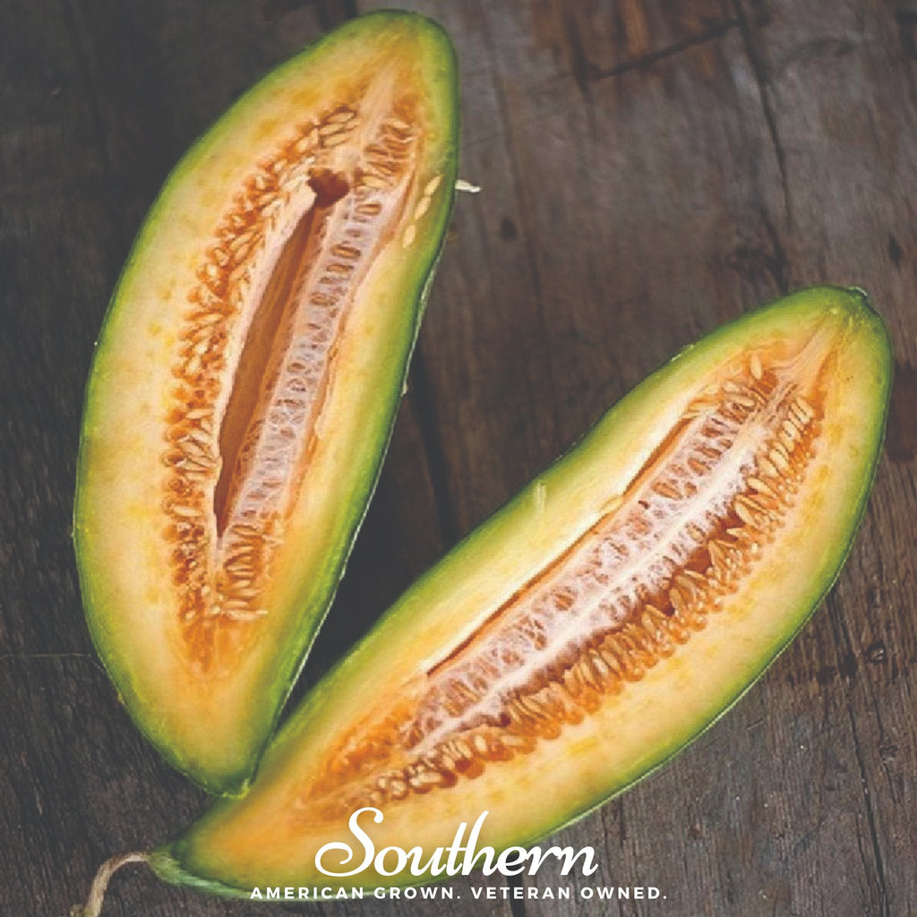 Melon, Banana (Cucumis melo) - 20 Seeds - Southern Seed Exchange