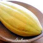 Melon, Banana (Cucumis melo) - 20 Seeds - Southern Seed Exchange