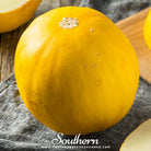 Melon, Canary (Cucumis melo) - 25 Seeds - Southern Seed Exchange