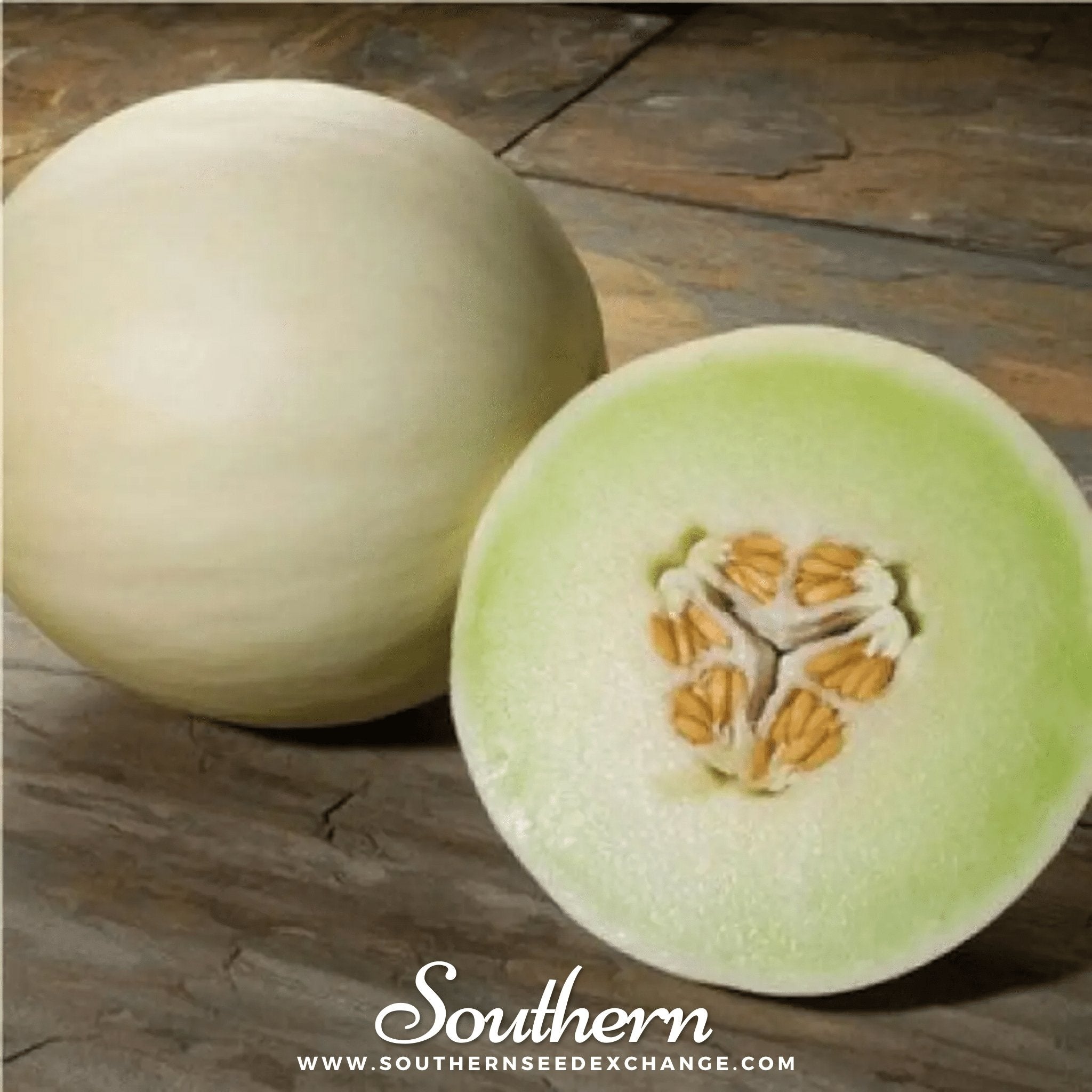 Melon, Green Flesh Honeydew (Cucumis melo) - 20 Seeds - Southern Seed Exchange