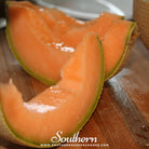 Melon, Hales Best Jumbo Cantaloupe (Cucumis melo var. cantalupensis) - 50 seeds - Southern Seed Exchange