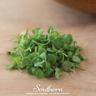 Microgreen, Basil Genovese (Ocimum basilicum) - 8 grams - Southern Seed Exchange