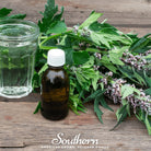 Motherwort (Leonurus Cardiaca) - 50 Seeds - Southern Seed Exchange