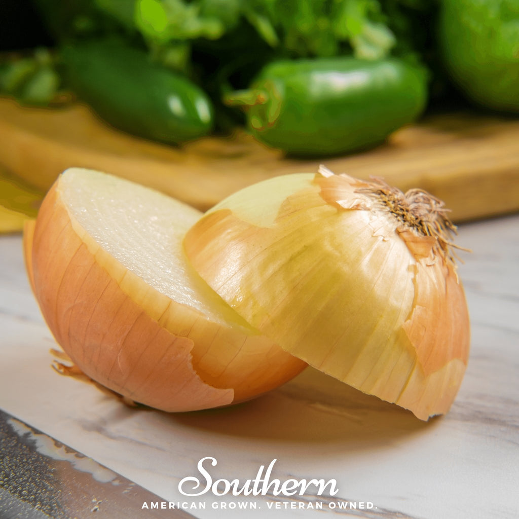 Onion, Spanish Yellow Sweet (Allium cepa) - 200 Seeds - Southern Seed Exchange