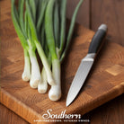 Onion, Tokyo Long White (Allium cepa) - 200 Seeds - Southern Seed Exchange