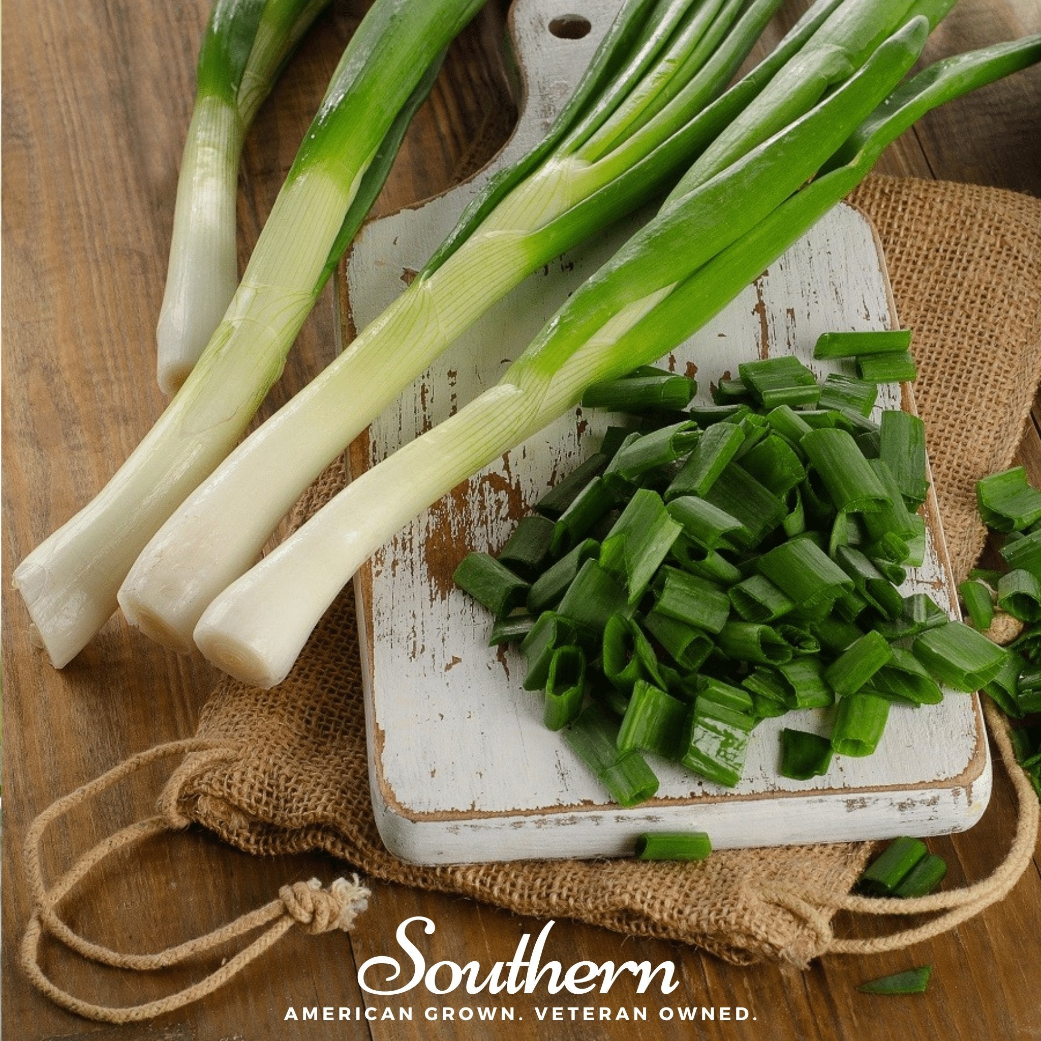 Onion, Tokyo Long White (Allium cepa) - 200 Seeds - Southern Seed Exchange