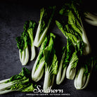 Pak Choi, Canton (Brassica rapa) - 200 Seeds - Southern Seed Exchange