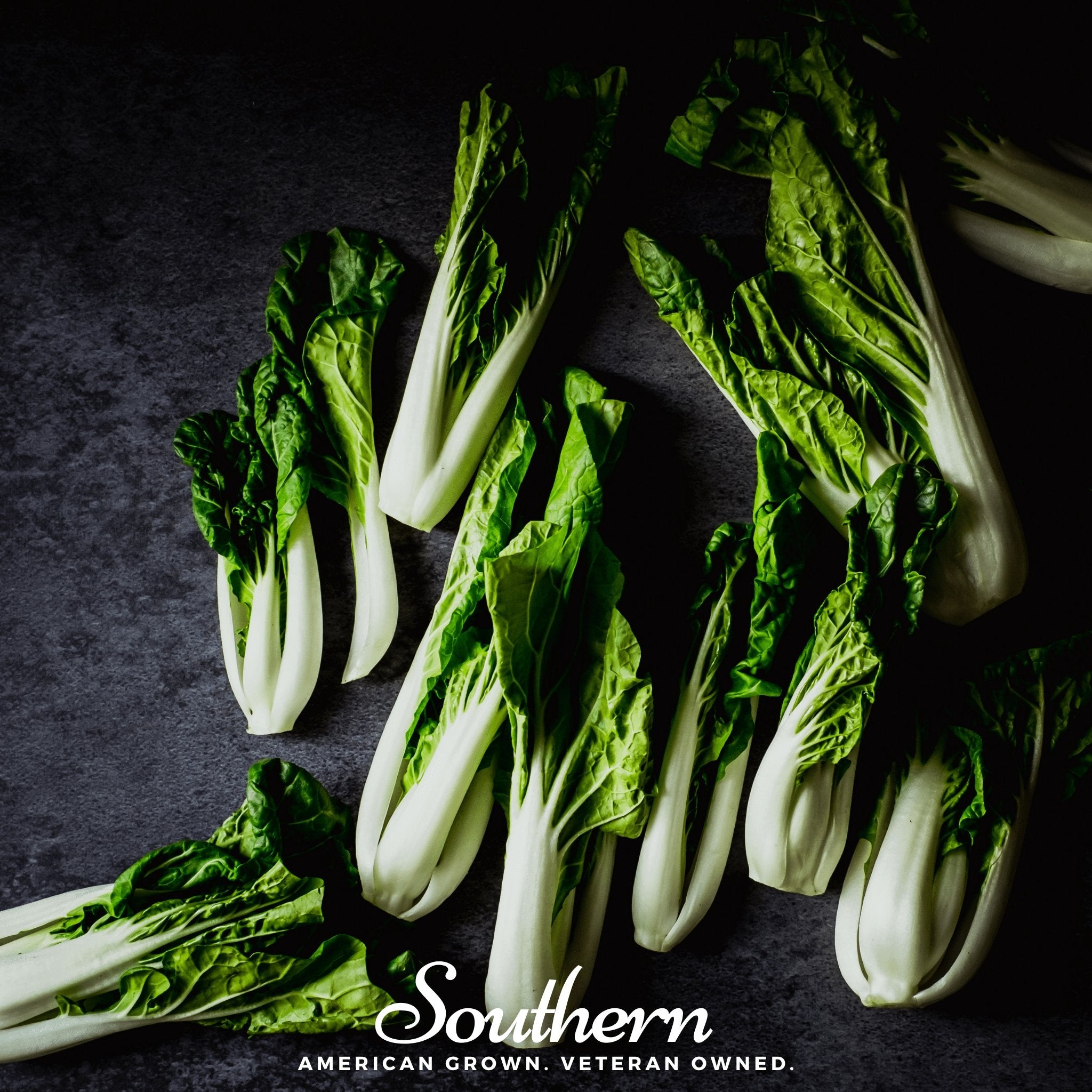 Pak Choi, Canton (Brassica rapa) - 200 Seeds - Southern Seed Exchange