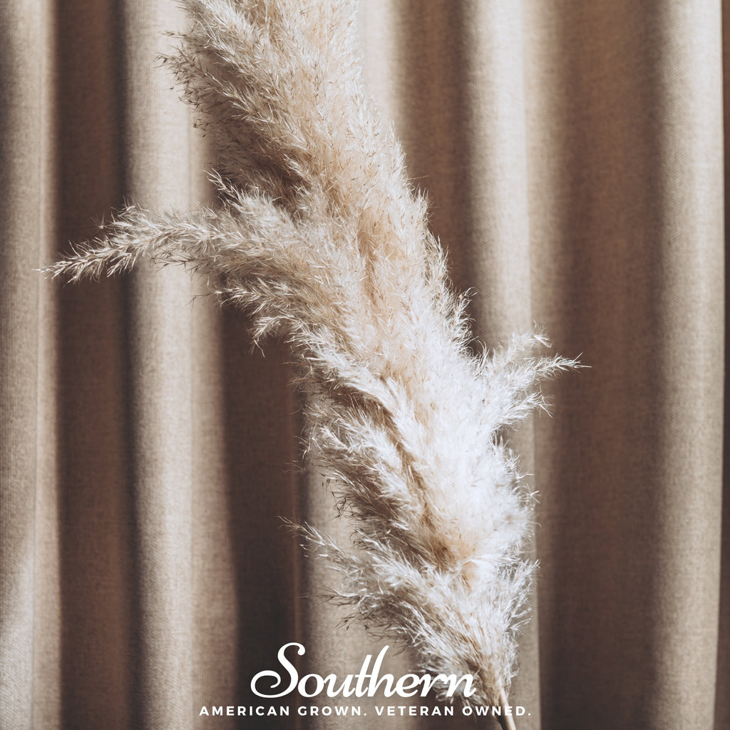 Pampas Grass, White (Cortaderia selloana) - 100 Seeds - Southern Seed Exchange