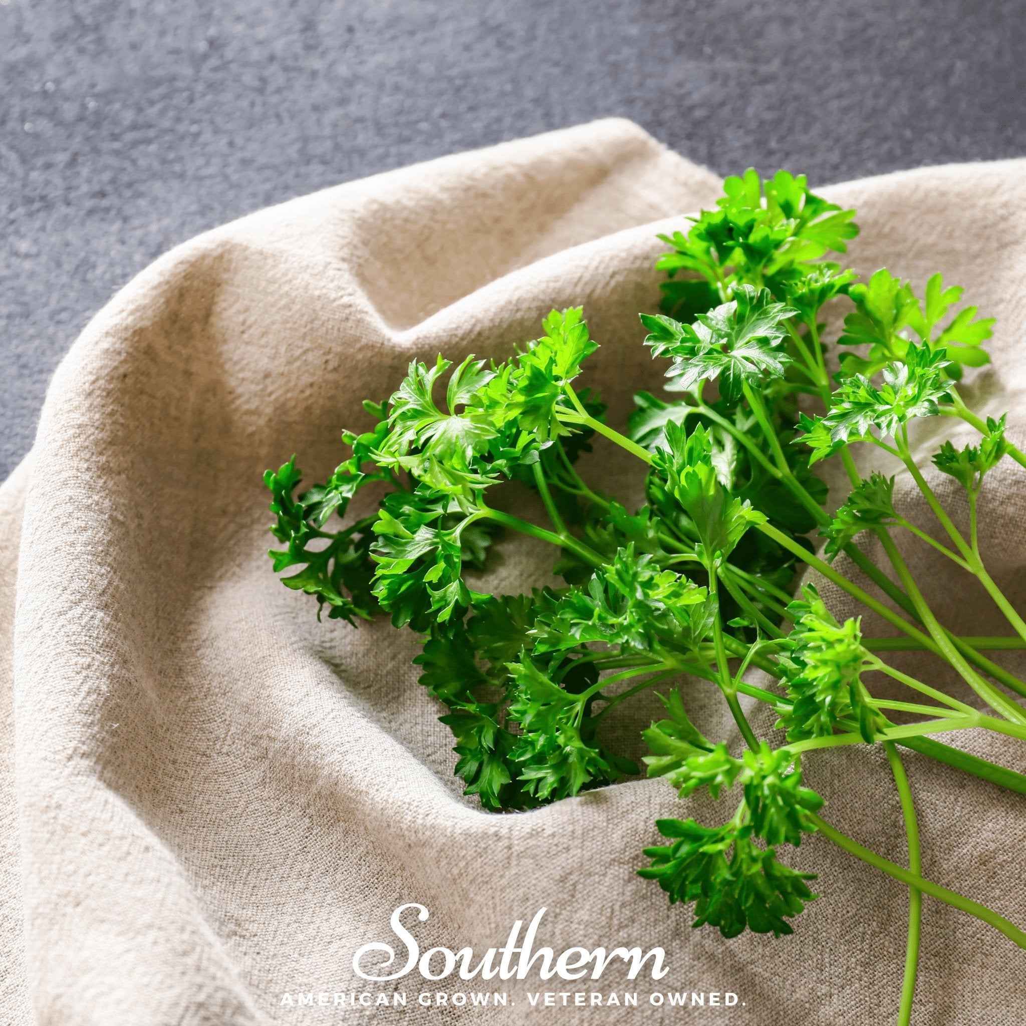 Parsley, Curled (Petroselinum crispum) - 200 Seeds - Southern Seed Exchange