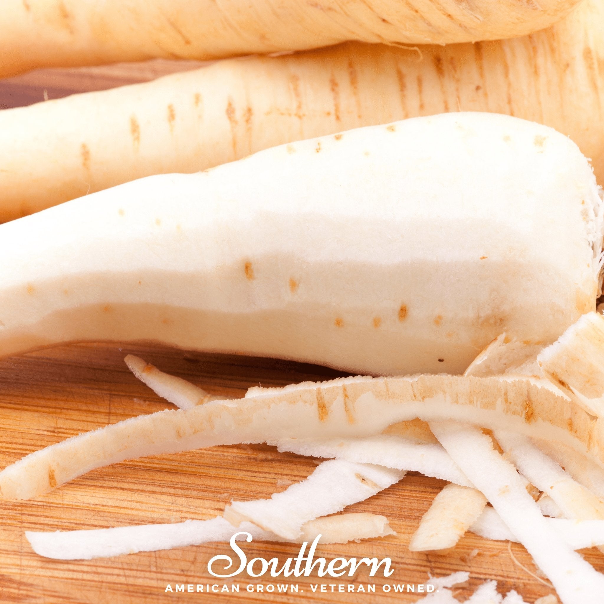 Parsnip, Harris Model (Pastinaca sativa) - 100 Seeds - Southern Seed Exchange