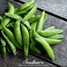 Peas, Sugar Daddy (Pisum sativum) - 20 Seeds - Southern Seed Exchange