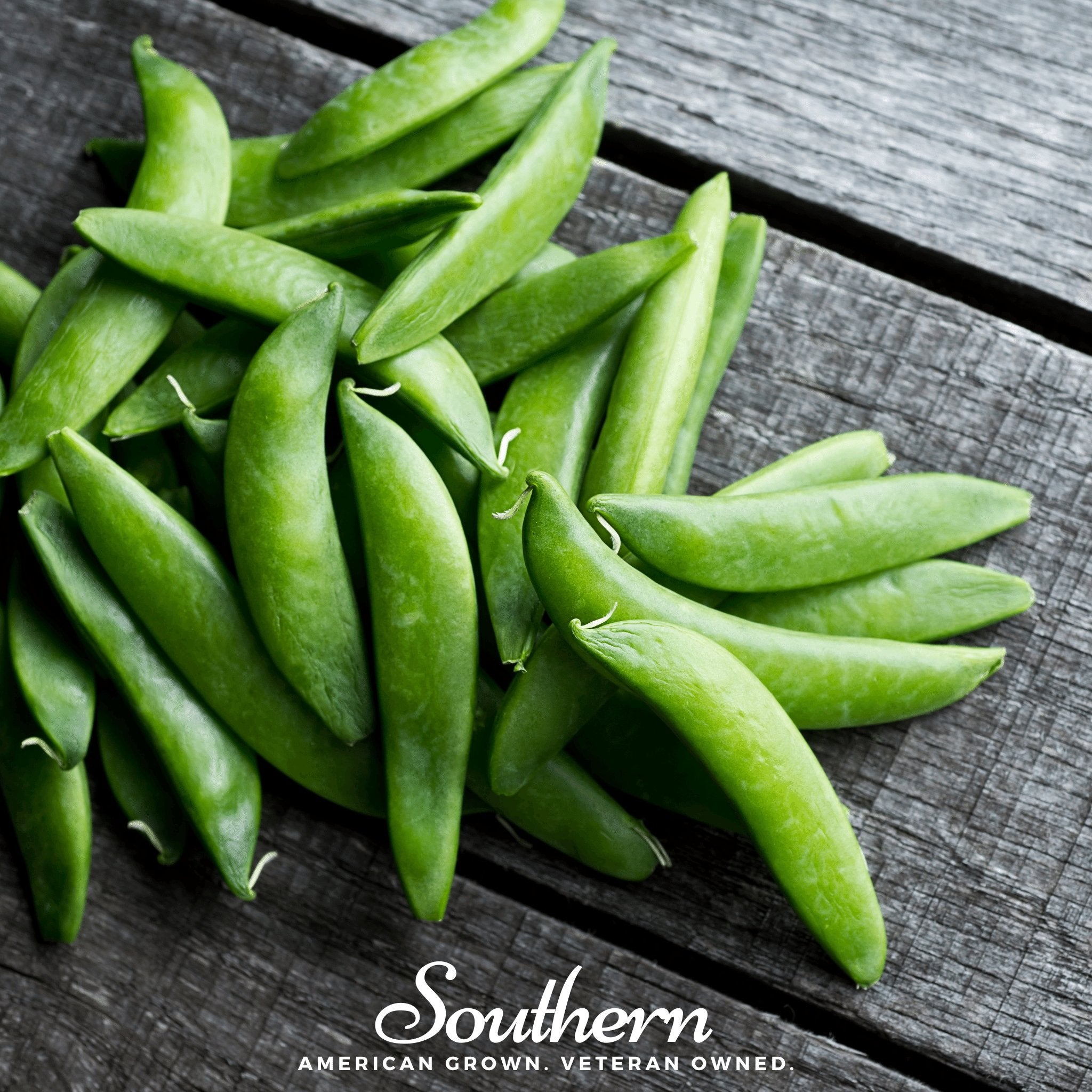 Peas, Sugar Daddy (Pisum sativum) - 20 Seeds - Southern Seed Exchange