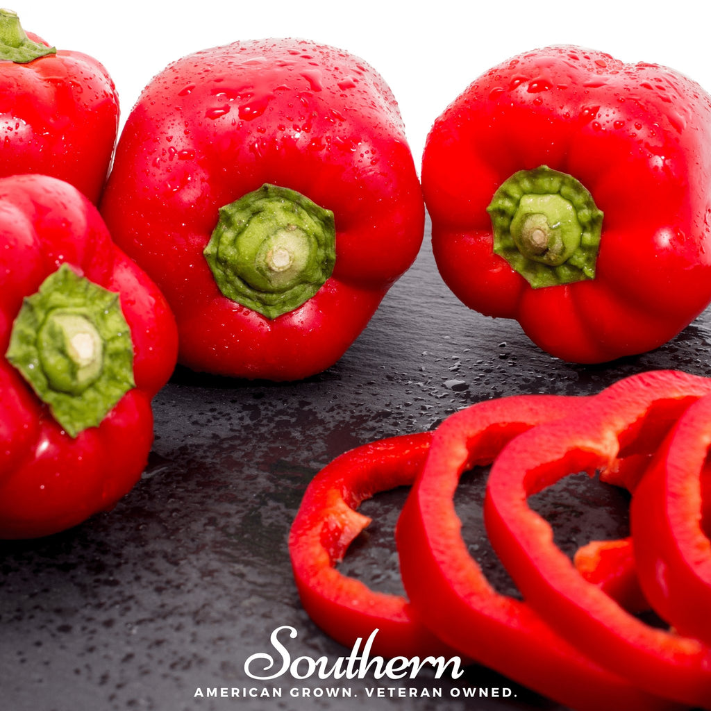 Pepper, Big Red Sweet Bell (Capsicum annuum) - 30 Seeds - Southern Seed Exchange