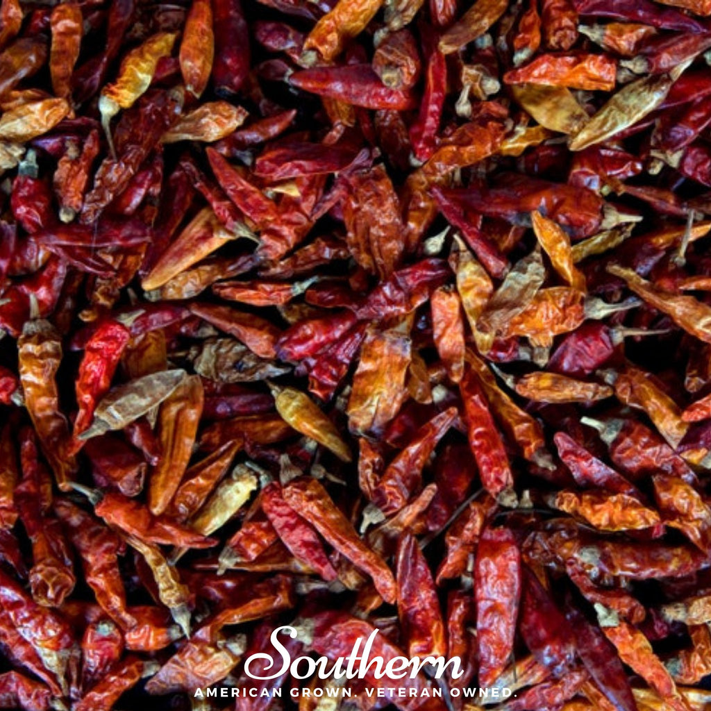 Pepper, Birds Eye Chili (Capscium annuum) - 30 Seeds - Southern Seed Exchange