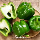 Pepper, Cal Wonder Sweet Bell (Capsicum annuum) - 30 Seeds - Southern Seed Exchange