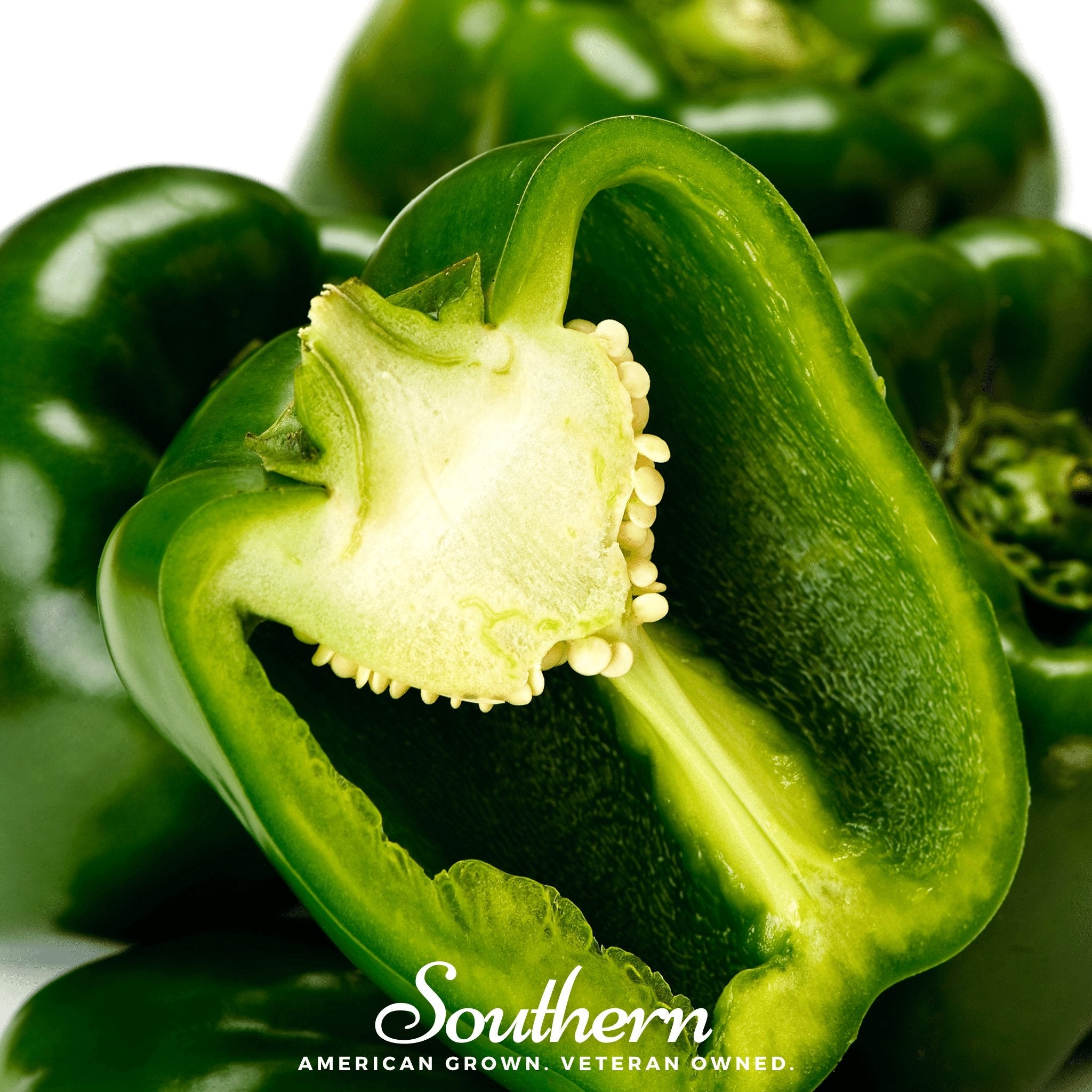 Pepper, Emerald Giant Sweet (Capsicum annuum) - 30 Seeds - Southern Seed Exchange