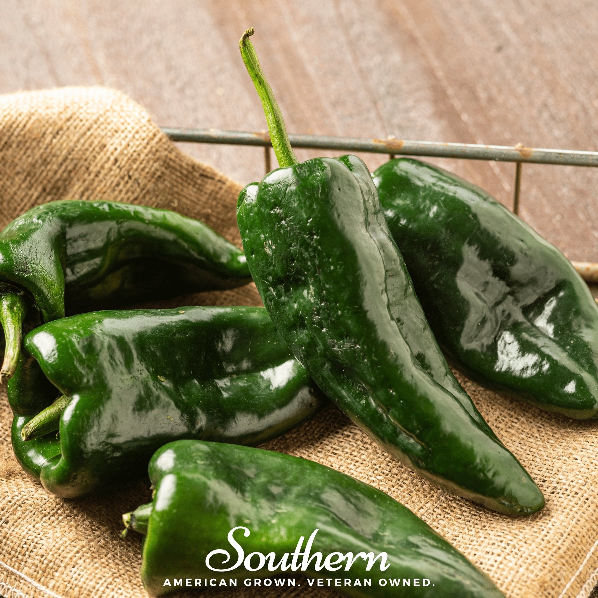 Pepper, Poblano Ancho Grande (Capsicum annuum) - 25 Seeds - Southern Seed Exchange